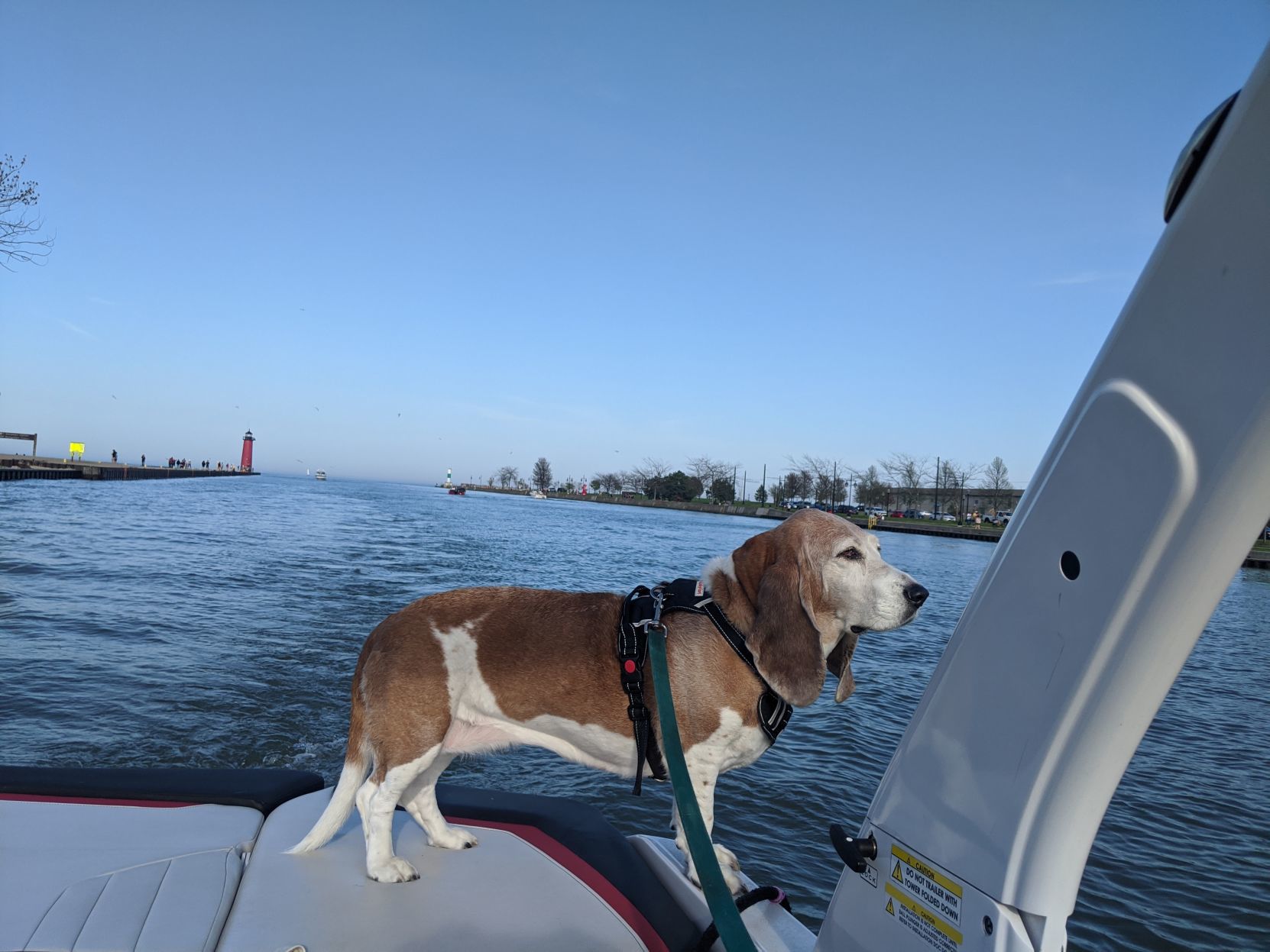 The "captain"
